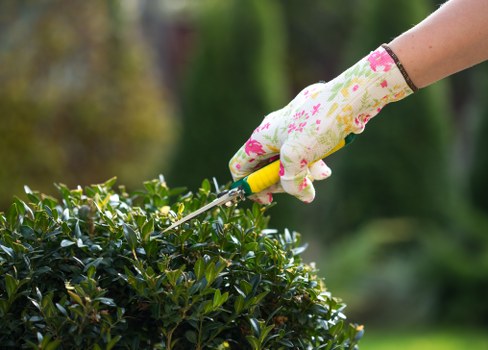 Expert gardeners providing quality service