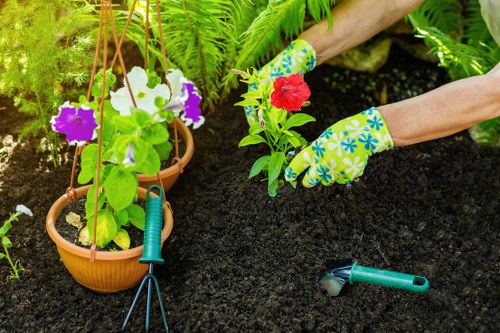 Gardener working in a small Fitzrovia courtyard