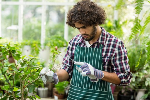 Community of gardeners in Fitzrovia working together