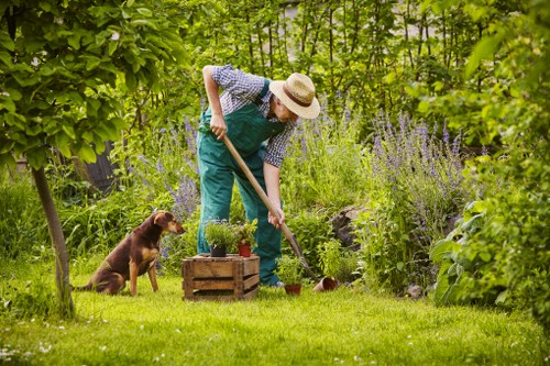 Eco-friendly hedge trimming tools