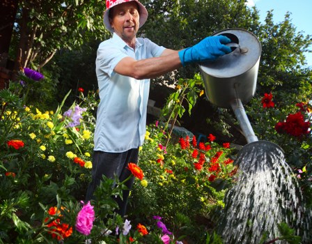 Seasonal hedge maintenance in a garden