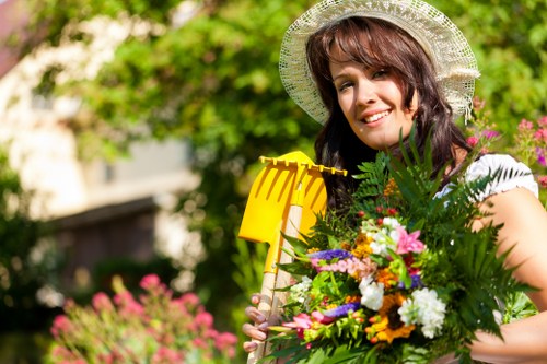 Popular plants for Fitzrovia gardens