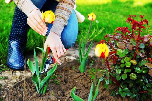 Expert gardener mowing lawn in Fitzrovia