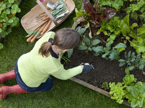 Landscaping design being installed in a compact urban courtyard