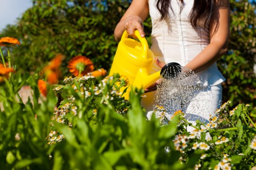 Eco-friendly garden clearance practices