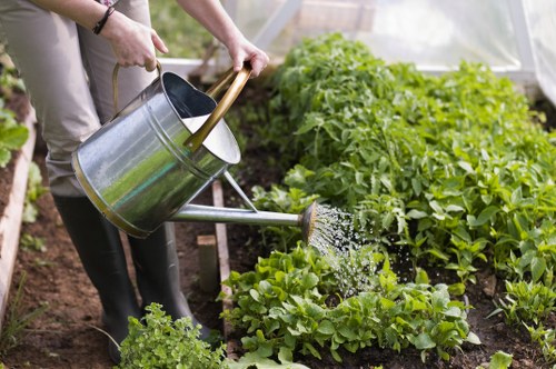 Urban garden in Fitzrovia showcasing plant selection