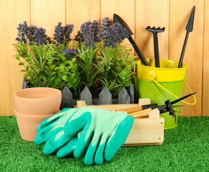 Professional garden clearance services in action